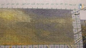 Готов первый ряд!!! Химера вышивка крестом Многоцветка в петитах