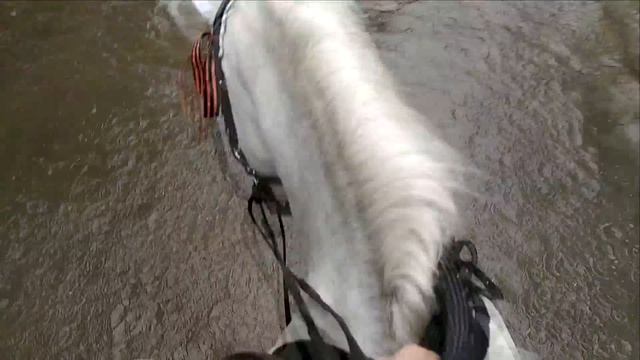 ВЛОГ/9 мая/Праздник/поля/"кросс" смотреть онлайн