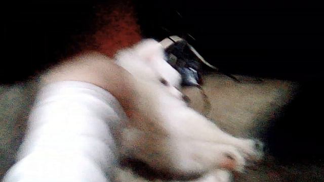 Спящата красавица ,,Бела,, смотреть онлайн