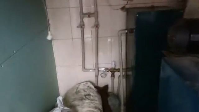 Котельная с твердотопливным котлом + газовый котел внутри дома смотреть онлайн