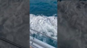 Анна Седакова «Привязана к тебе...»