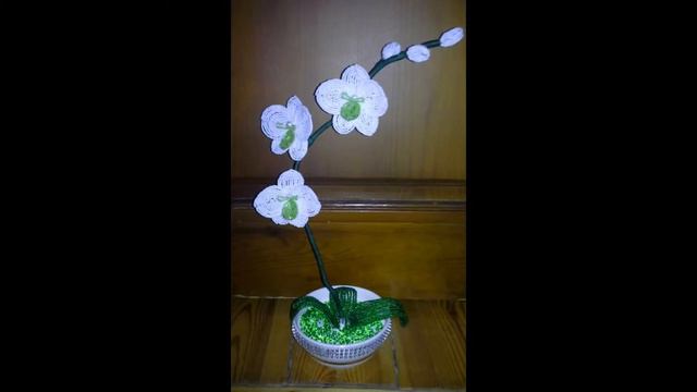 Slayt Gösterim смотреть онлайн