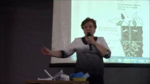 Борьба с проволочником с помощью дегтя Корнюшина Людмила