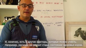 Как выявить охоту у коров?