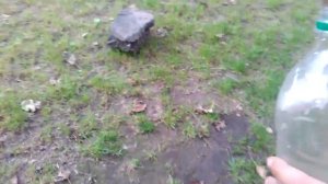 Как сделать мини-ракету в домашних условиях