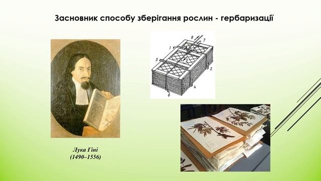 6. СИСТЕМАТИКА – НАУКА ПРО РІЗНОМАНІТНІСТЬ ОРГАНІЗМІВ / Біологія і екологія