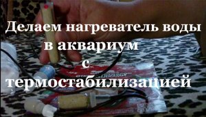 Делаем самодельный нагреватель воды для аквариума с терморегуляцией