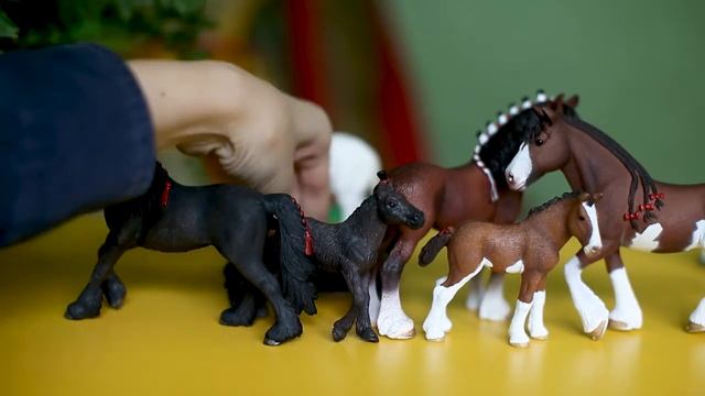 Семья лошадей Клайдсдейл от Шляйх