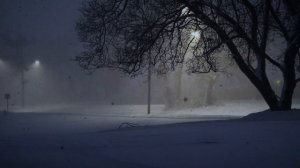 Ты мне не нужен "Когда ветрами закружит стужа"Ольга Конькова Мороз Читает Андрей Лукашенко