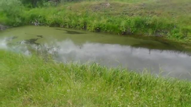село Пономаревка