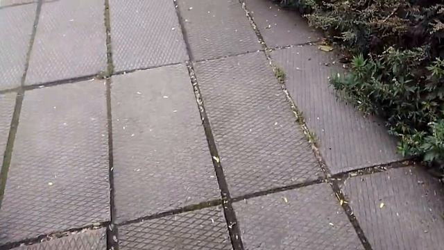 Малая Октябрьская железная дорога. Северный участок. Lasten rautatie Pietarissa. Pohjoinen raita. смотреть онлайн