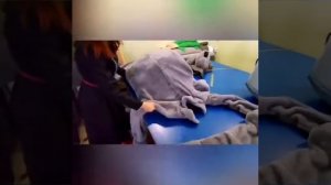 2 варианта изготовления ростовой куклы Мишка Тедди
