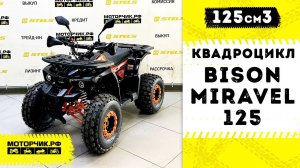 Квадроцикл Bison Miravel 125