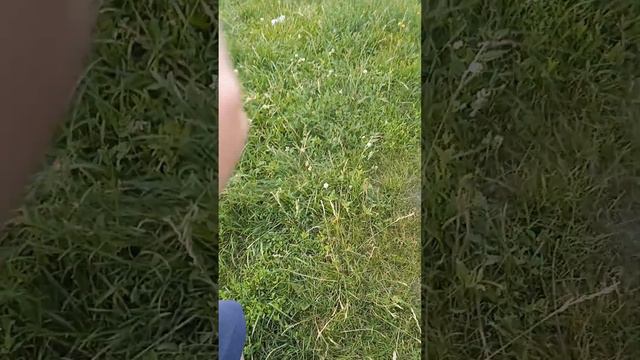 Обзор на мой дрон смотреть онлайн