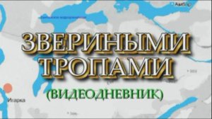 Полевой сезон - 2011. Река Кулюмбэ. Авторский фильм А. Зорина, ФГБУ "ВНИГНИ".