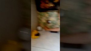 Плане что это такое ощущение ок с курса