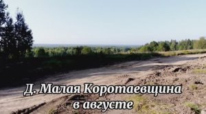 Деревня Малая Коротаевщина в августе.mp4