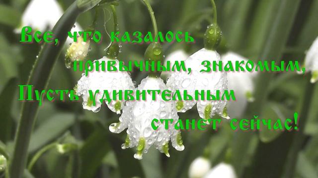 Пожелания женщине рожденной весной Андрей Обидин Весенний импровиз