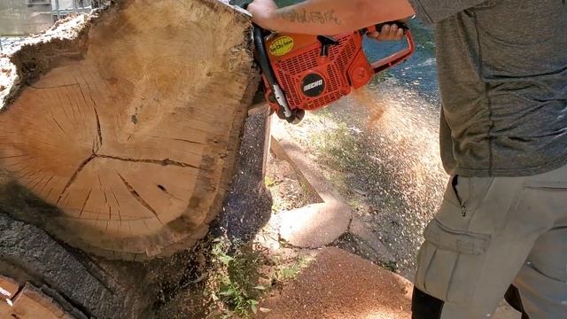 cs800 24" bar 3/8 смотреть онлайн