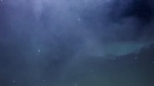 Это САМОЕ БОЛЬШОЕ подводное СУЩЕСТВО в мире! Блуп.