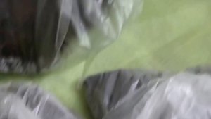Выращивание лилий из чешуек. Лилии с ростками - как сохранить до посадки в грунт?