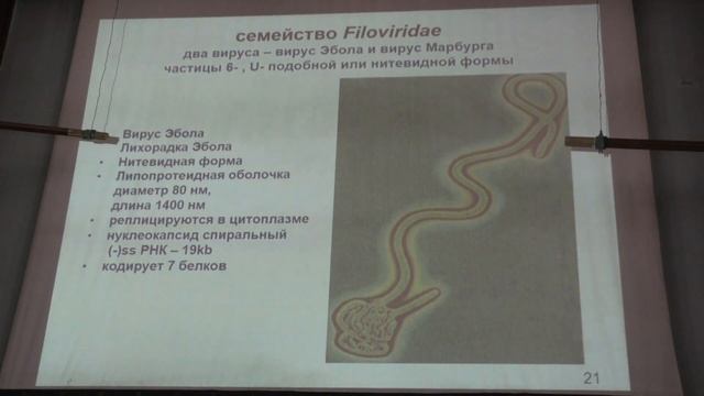 Карпова О. В. - Вирусология - (-)РНК-содержащие вирусы смотреть онлайн