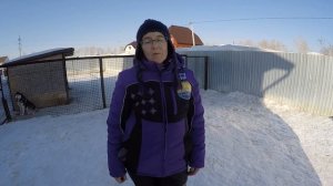Корм Дилли Для Активных собак