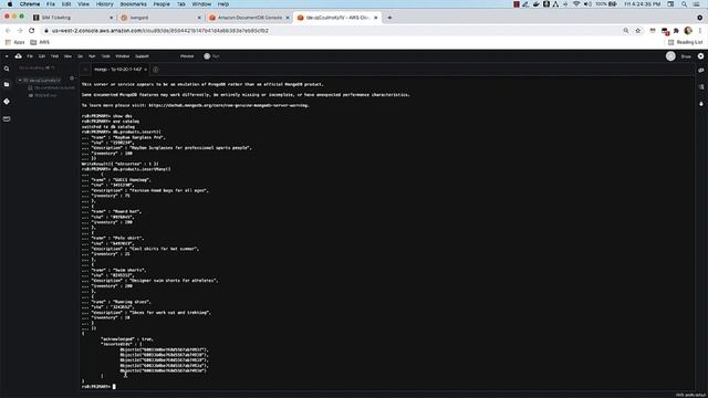Amazon DocumentDB (3 of 3) - Connect & Query смотреть онлайн