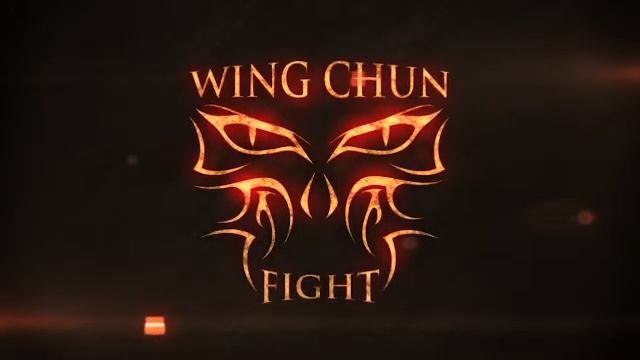 Stikhiya Wing Chun. Wing Chun - Парная техника -对练. смотреть онлайн