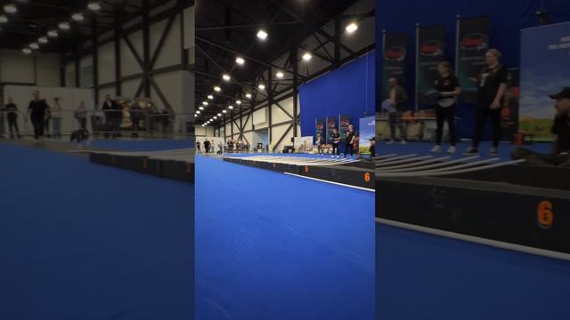 Dogsenergym на соревнованиях в ЭКСПОФОРУМ
