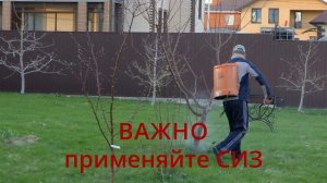 схема защиты моего сада и огорода аминосил, фитоспорин, метаризин, хорус и актеллик