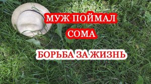 Поймал сома/Борьба за жизнь/Путешествуем по Белгородчине/Белгород/Belgorod/Russia