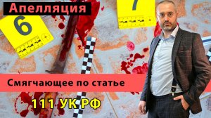 Московский областной суд признал смягчающее наказание обстоятельство по ст. 111 УК | Консультация