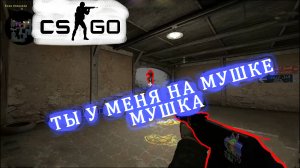 ЧТО ЗА БАГ НА DUST 2. counter strike global offensive