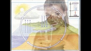 Окружающий мир 3 класс ч.1, тема урока "Самое главное вещество", с.62-65, Перспектива