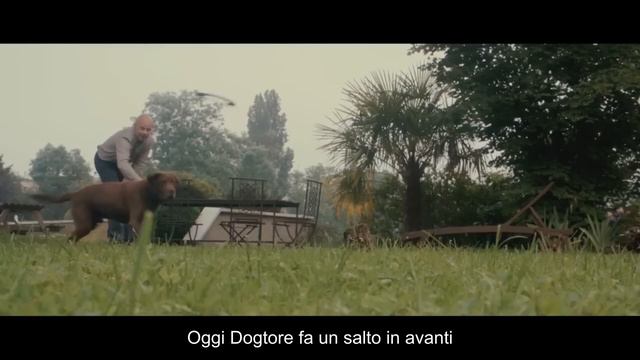 Dogtore.it - Appassionatamente veterinari смотреть онлайн