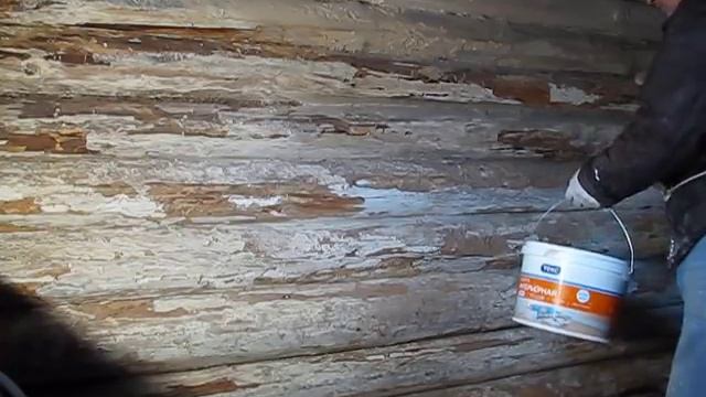 Дезинфекция курятника для кур несушек. О чем должен знать каждый птицевод?! смотреть онлайн