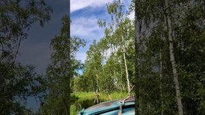 YouCut_болота недалеко от п. Нижнесортымский,Сургутский район.mp4