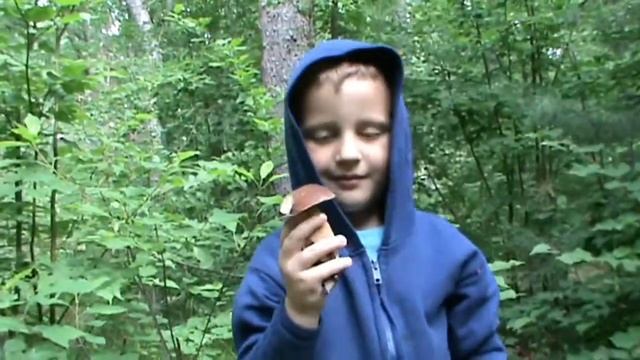 Грибные места.Сбор белого гриба. / Mushroom places. Collection of white fungus. смотреть онлайн