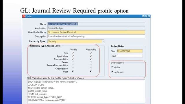 ERP Risk Advisors: E-Business Suite: Profile Options - What are they and Why Auditors Should Care смотреть онлайн