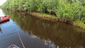 ХОТЕЛИ НА РЕКУ, А ПРИШЛОСЬ ПО СОРАМ. РЫБАЛКА МЕЖСЕЗОНЬЕ. В РЕКЕ ВОДЫ, В СОРАХ КУСТЫ. ИРТЫШ ИЮЛЬ 202