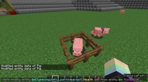 Minecraft Data Command [1.19] Tutorial
