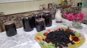 ЧТО Я ДЕЛАЮ С ЯГОДАМИ ШЕЛКОВИЦЫ?