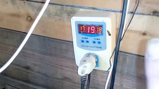 вентиляция в курятнике