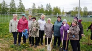 Сад памяти 60 лет Дубки