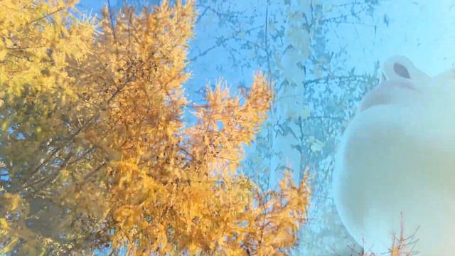 Я буду тебя любить смотреть онлайн