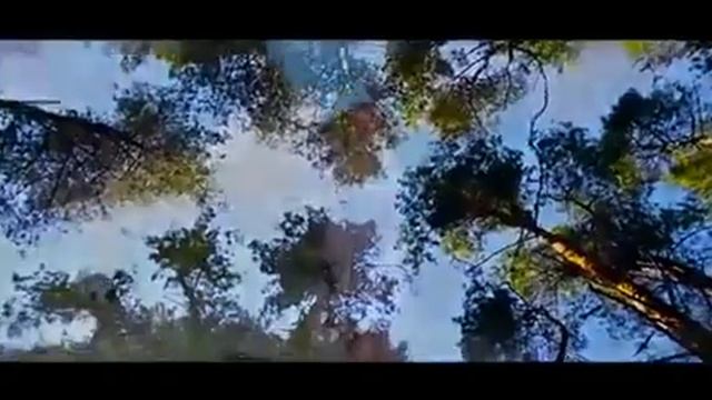 С праздником Татарстан!