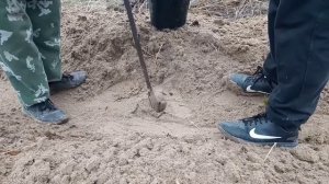 Посадка леса. Создание лесных культур с помощью "меча Колесова"