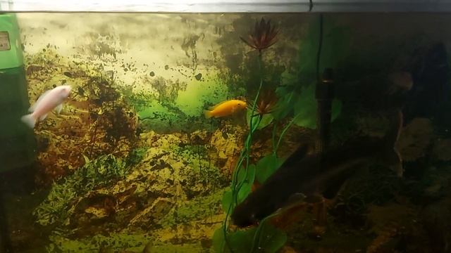 тише,тише,разбудили смотреть онлайн