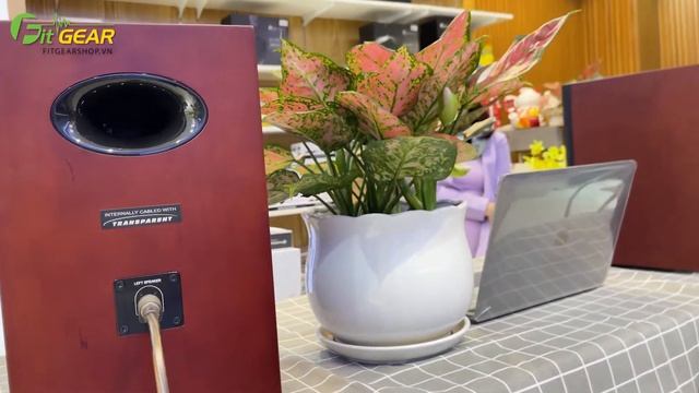 Edifier Airpulse A200 | Test loa Bluetooth Edifier Airpulse A200 tại Fitgear shop смотреть онлайн